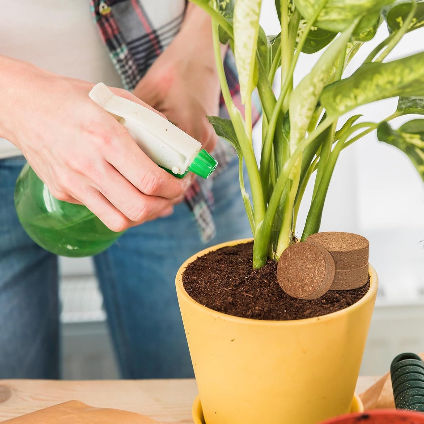 ZeeDix 100pcs 50mm Coco Coir Pellets, Compressed Coconut Coir Seed Starter Pellets Potting Soil Indoor Plants Soil Discs for Planting Flowers Bonsai Herbs Plants and Vegetables