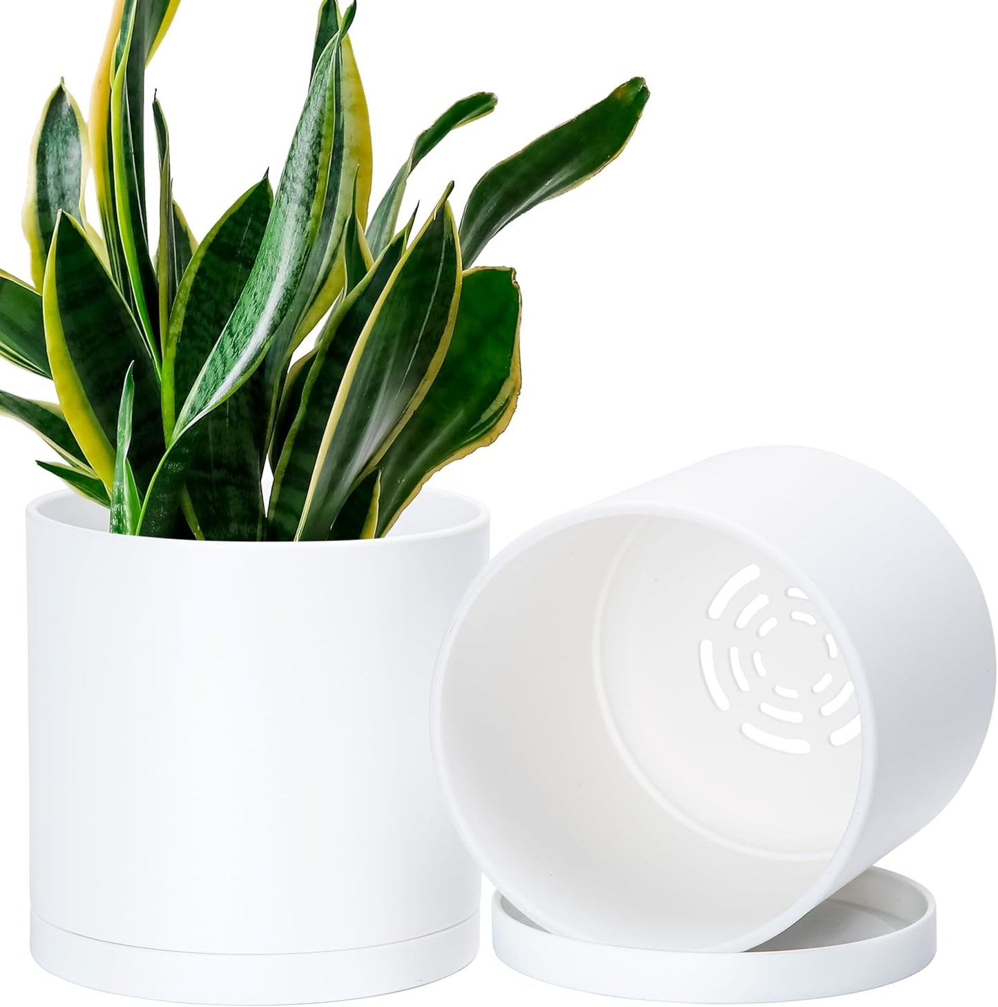 D'vine Dev 2 Pack 6.5 Inch Modern Plastic Plant Pots, Small Garden Planters for Plant with Drainage Holes and Saucers, White Color, 74-Z-L-1