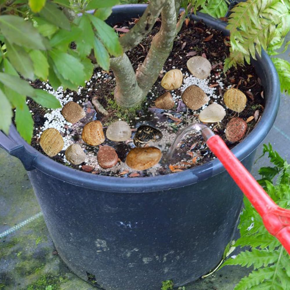 HappyFiller Decorative Natural Pebbles Polished Rocks Stones Mixed Color for Aquarium Gravel,Fish Turtle Tank,Outdoor Indoor Plants Top Dressing,Garden Landscaping,Home Vase Filler Decoration,2 LB