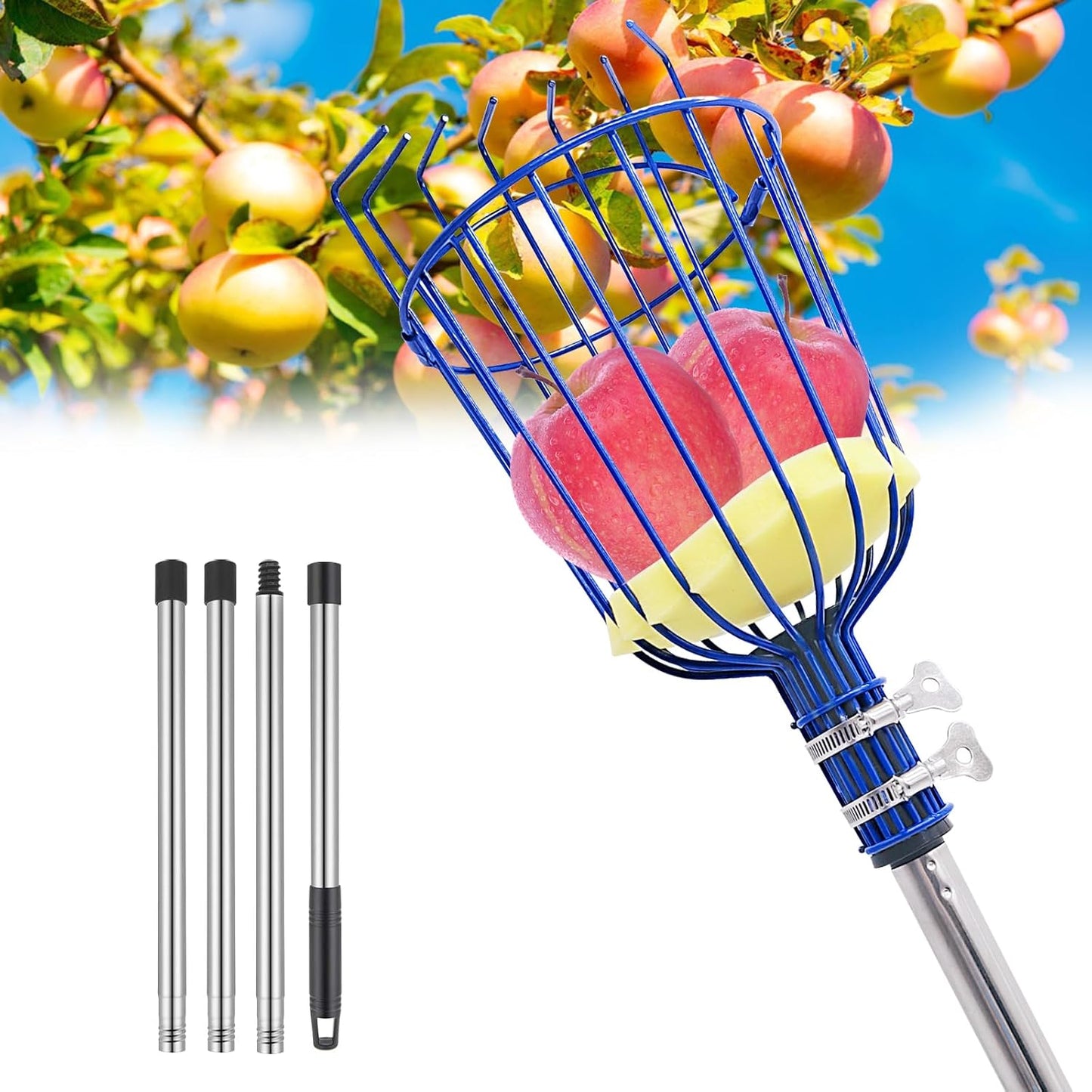 Steel Adjustable Splicing Fruit Picker Pole with Basket, 35-129 Inch Grabber Reacher Tool for Orange Lemon Apple Guava Mango Avocado Pear Tree Harvesting
