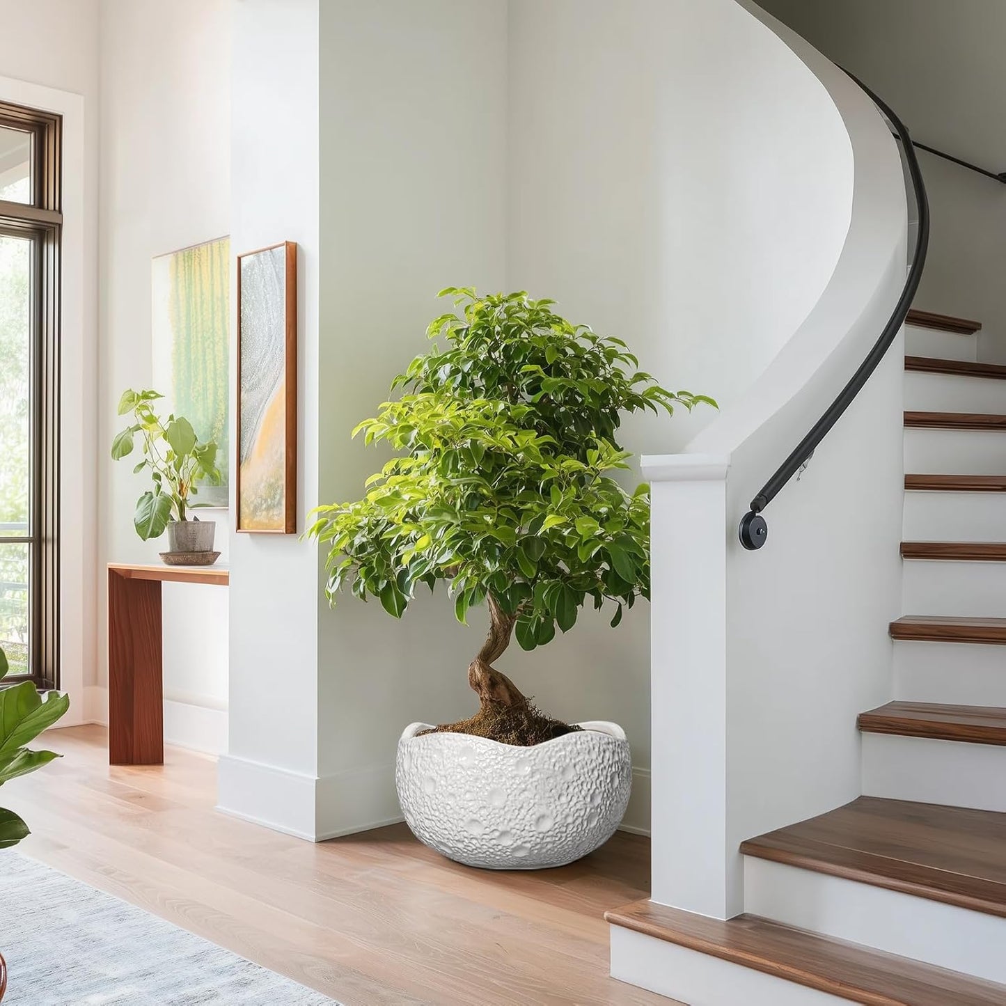 Large Bonsai Pots - 13 Inch Ceramic Planter for Indoor Outdoor, Round Plant Pot, Decorative Flower Pots with Drainage Hole, Modern Unique Planters, Garden Decor Home, Garden Gifts, White