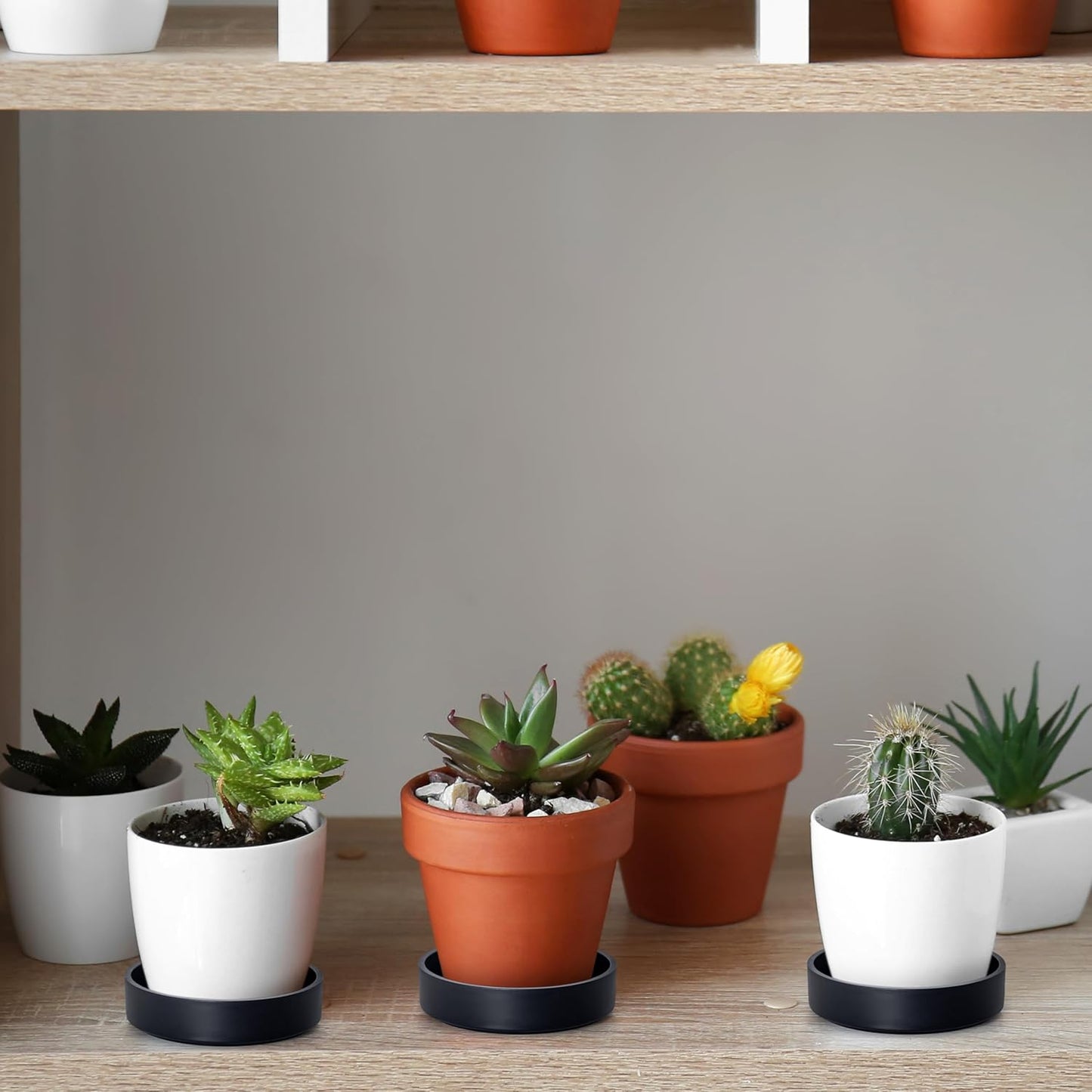 Phoenix Vine 4 Inch Plastic Plant Saucer Water Drip Tray, Heavy Sturdy Round Plant Drainage Tray for Indoors Outdoor, Set of 2, Matte Black, 21-TY-4B-2