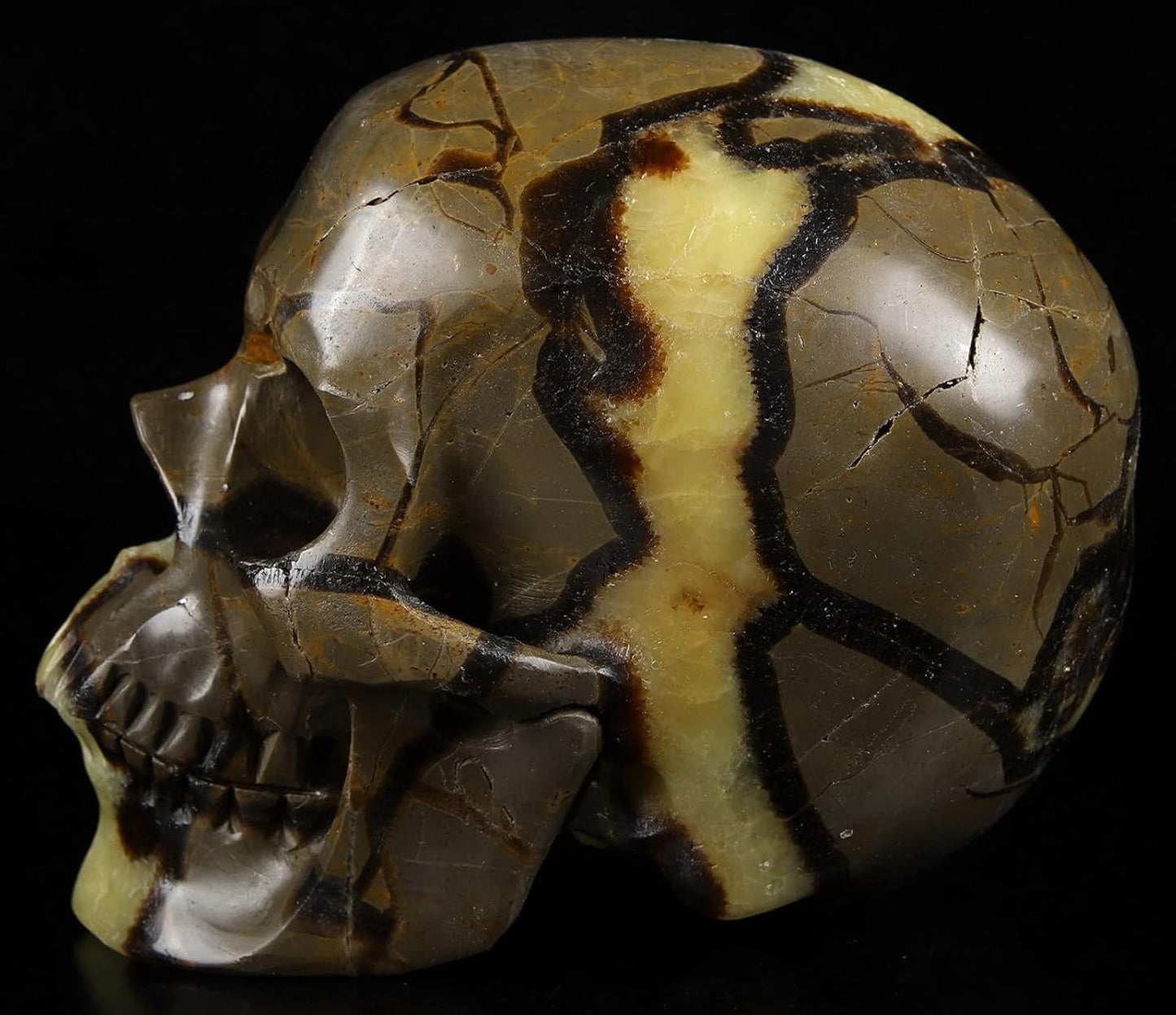 Skullis 5.0" Dragon Septarian Stone Hand Carved Crystal Skull, Super Realistic, Crystal Healing, Hand Carved Gemstone Fine Art Sculpture, Reiki Healing Stone Statue.1133 Z8