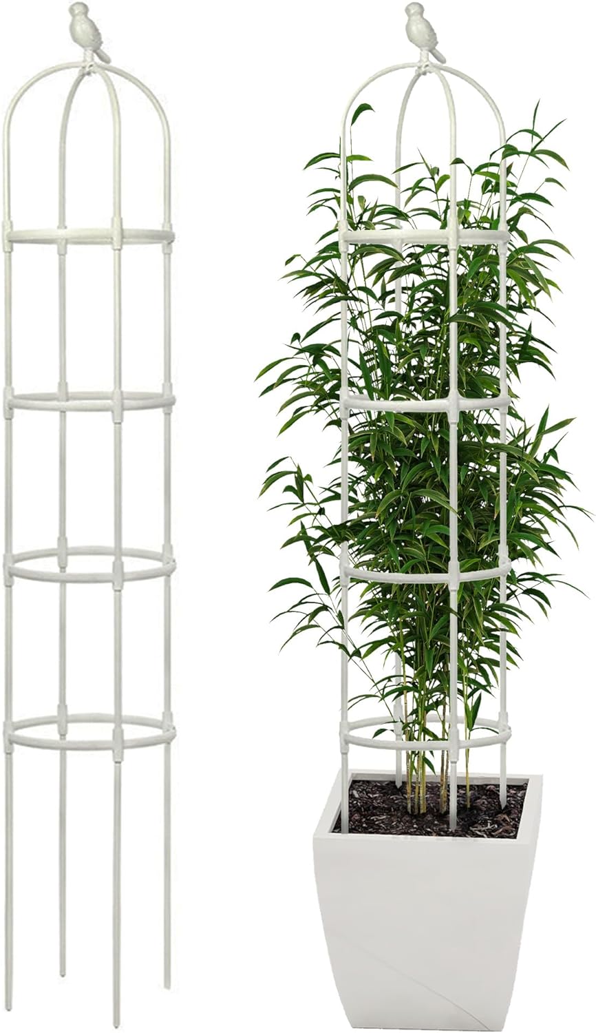Garden Trellis for Climbing Plants, Rustproof Metal Pipe with Heavy Duty 6ft, Garden Outdoor Indoor Potted Plant Support（White）
