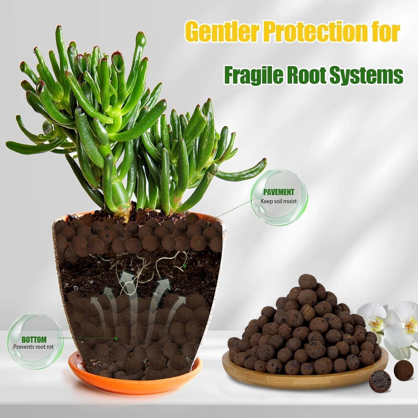 Expanded Clay Pebbles for Plants 2qt, Natural Organic Expanded Grow Media for Hydroponics, Drainage, Decoration, Aquaponics and Other Gardening Essentials