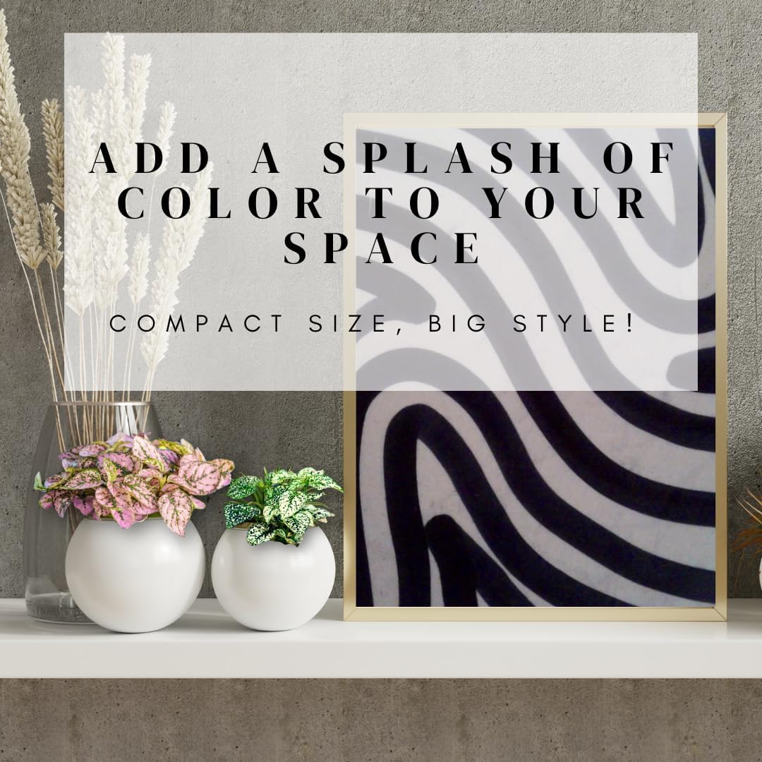 Polka Dot Plant Collection (4-Pack) - House Plants Indoors Live, Air Purifying Live Indoor House Plants, (Red, White, Rose, and Pink) Indoor Plants Live houseplants.