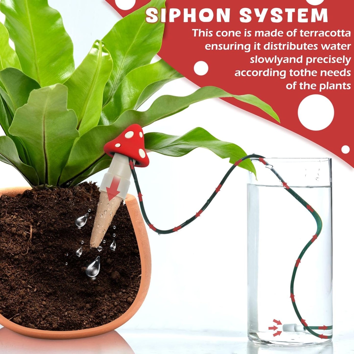 BYDOLL Plant Self-Watering Stakes Automatic Dripper Watering Spikes for Indoor Outdoor Bonsai,Houseplant Insert Devices for Vacation Garden use,Drip Irrigation System for Plant 5 Pack