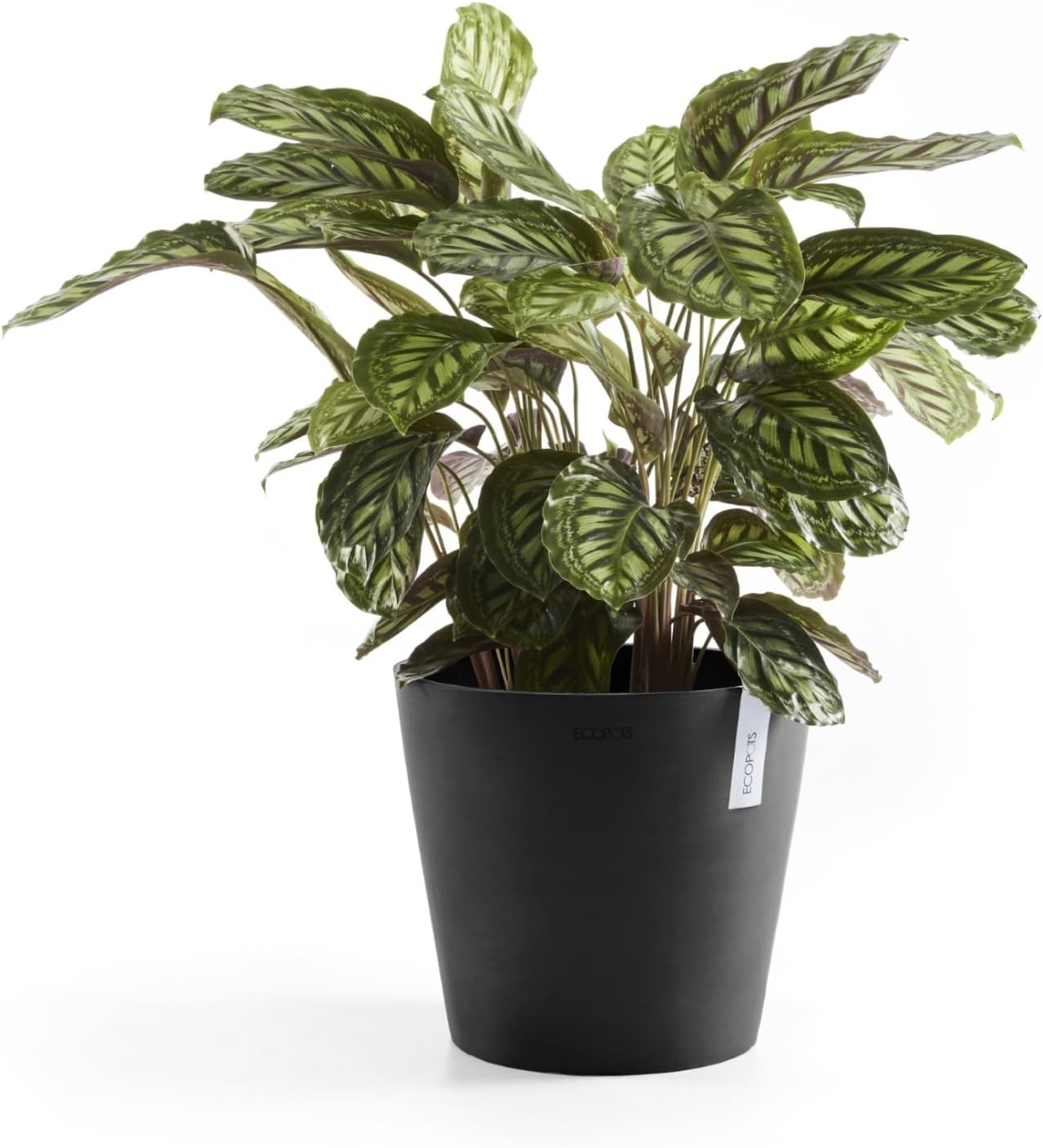 Ecopots Amsterdam Durable Modern Round Indoor/Outdoor Recycled-Based Composite Flower Pot Planter, Dark Grey, 12"