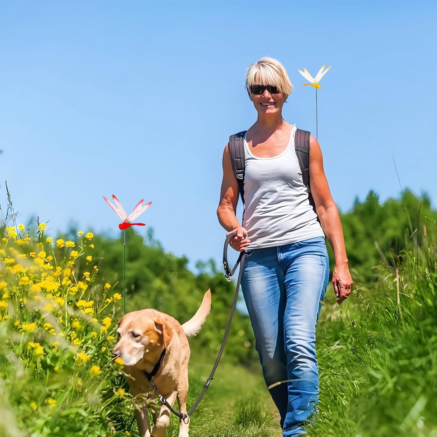 Jongdari 16 Sets Dragonfly Hat Clip Realistic Fake Dragonflies Clip-On Garden Outdoor Decor Stakes Plastic Dragon Fly Clips Plant Decorations for Pots, Includes Pliers & Clips - Small