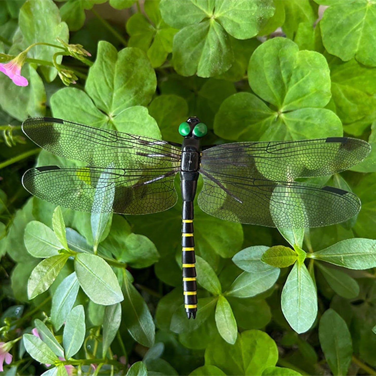40 Pcs Dragon Fly Clips for Bugs Repellent, 3D Artificial Dragonfly Hat Clip, Dragonfly Garden Decor (40, Black*40 Pcs)