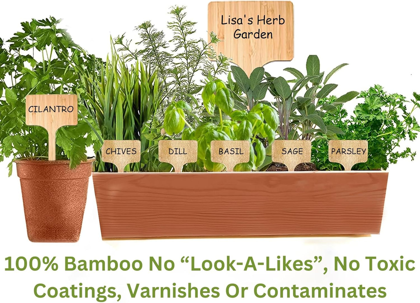 100 Pcs Large 8" Tall Garden Label Plant Signs Eco-Friendly Compostable to Easily Identify Plants, Seeds, Bulbs, Flowers, Vegetables