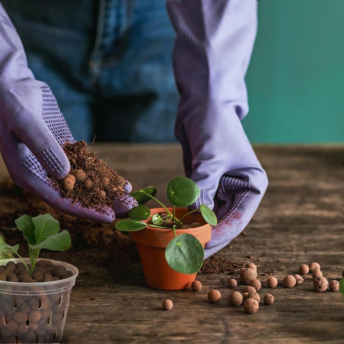 Expanded Clay Pebbles for Plants 2qt, Natural Organic Expanded Grow Media for Hydroponics, Drainage, Decoration, Aquaponics and Other Gardening Essentials