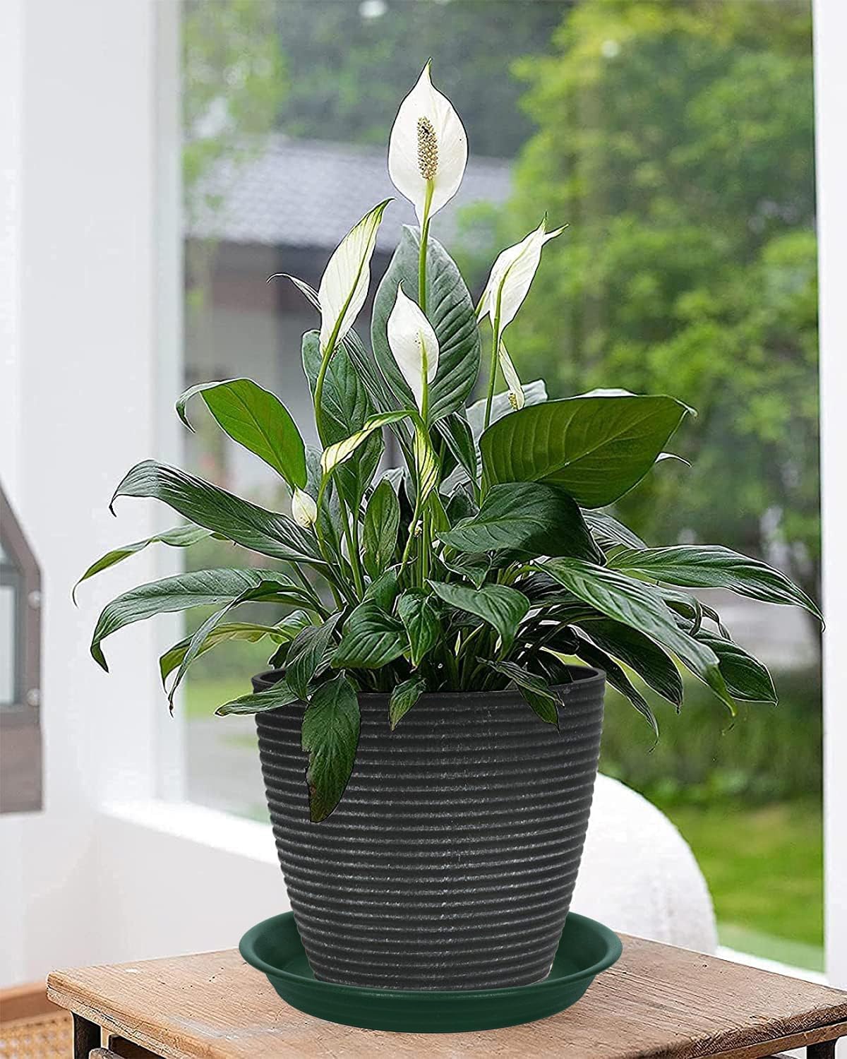 2 Pack Plant Saucer Drip Tray 11 12 inch, Pot Base for Plants Indoor, Plastic Flower Planter Saucers and Drip Trays for Outdoors, Heavy Durable Plant Plate Water Catcher (12", Dark Green)