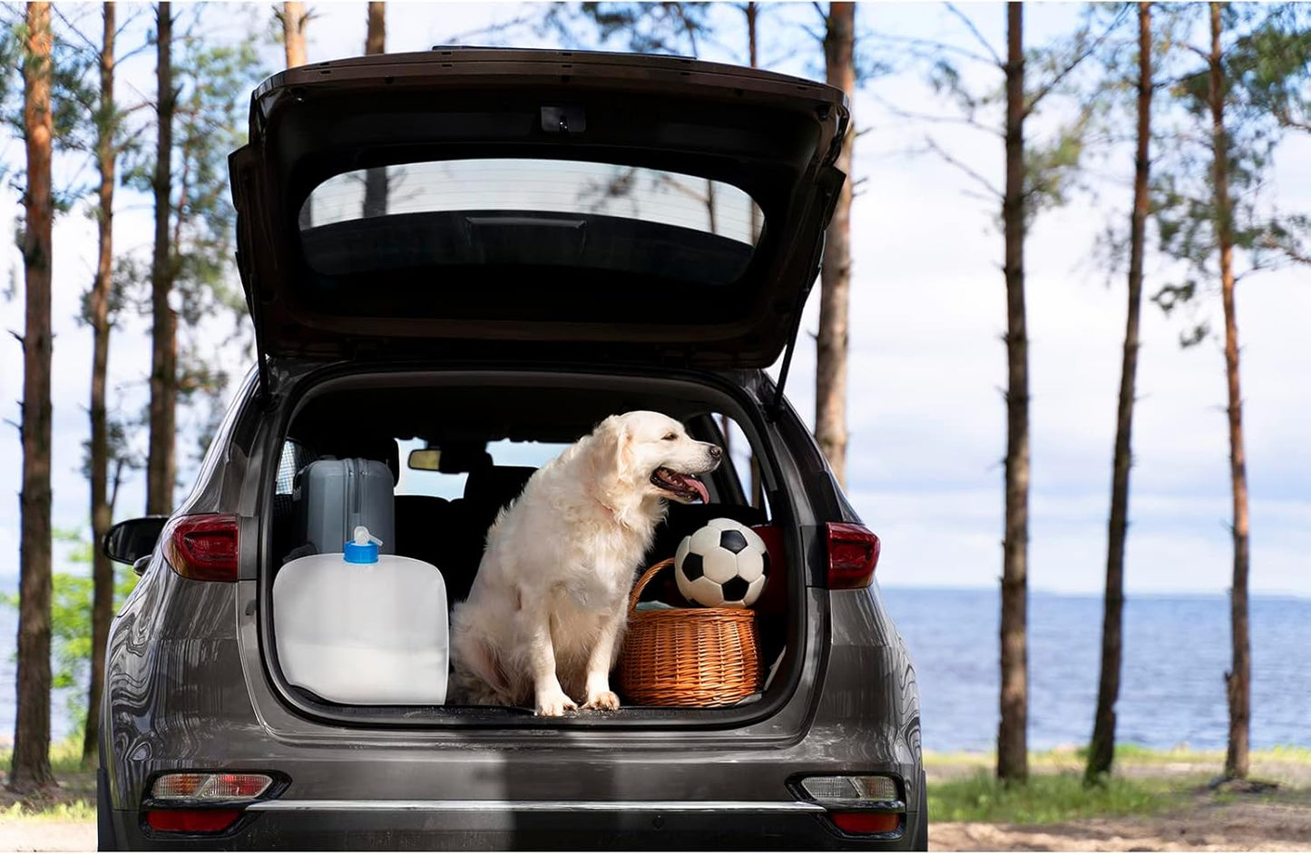 Collapsible Water Jug, 10 Packs 5.3 Gallon BPA Free Camping Water Container with Spigot, Portable Water Storage Carrier for Emergency Survival Hiking Backpacking Outdoors - Food Grade LDPE