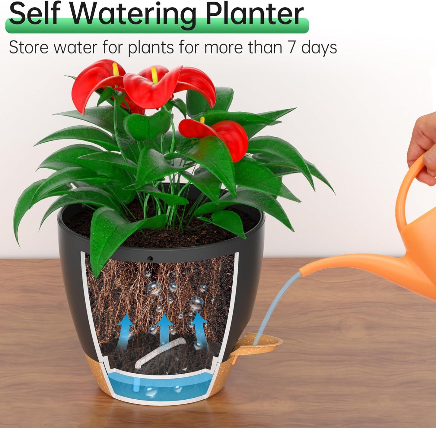 ZMTECH 10 Inch Hanging Planters for Indoor Outdoor Plants, 2 Pack Self Watering Hanging Plant Pots with Drainage Holes and Removable Saucer, Plastic Flower Hanging Pots with Watering Lip (Black)