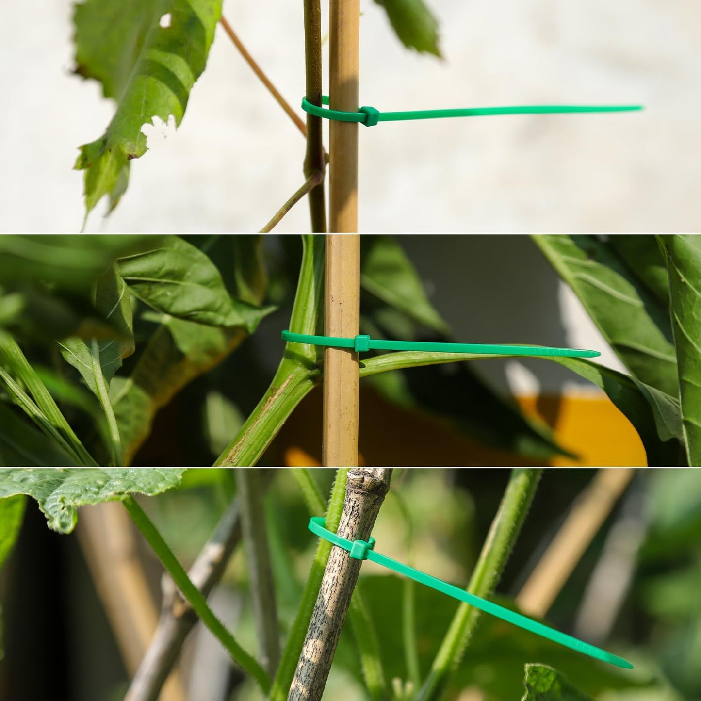 8 inch Green Zip Ties, Nylon Garden Cable Zip Ties Self Locking Cable Ties Twist Ties, Multi-Purpose Cable Tie (100 Pcs)