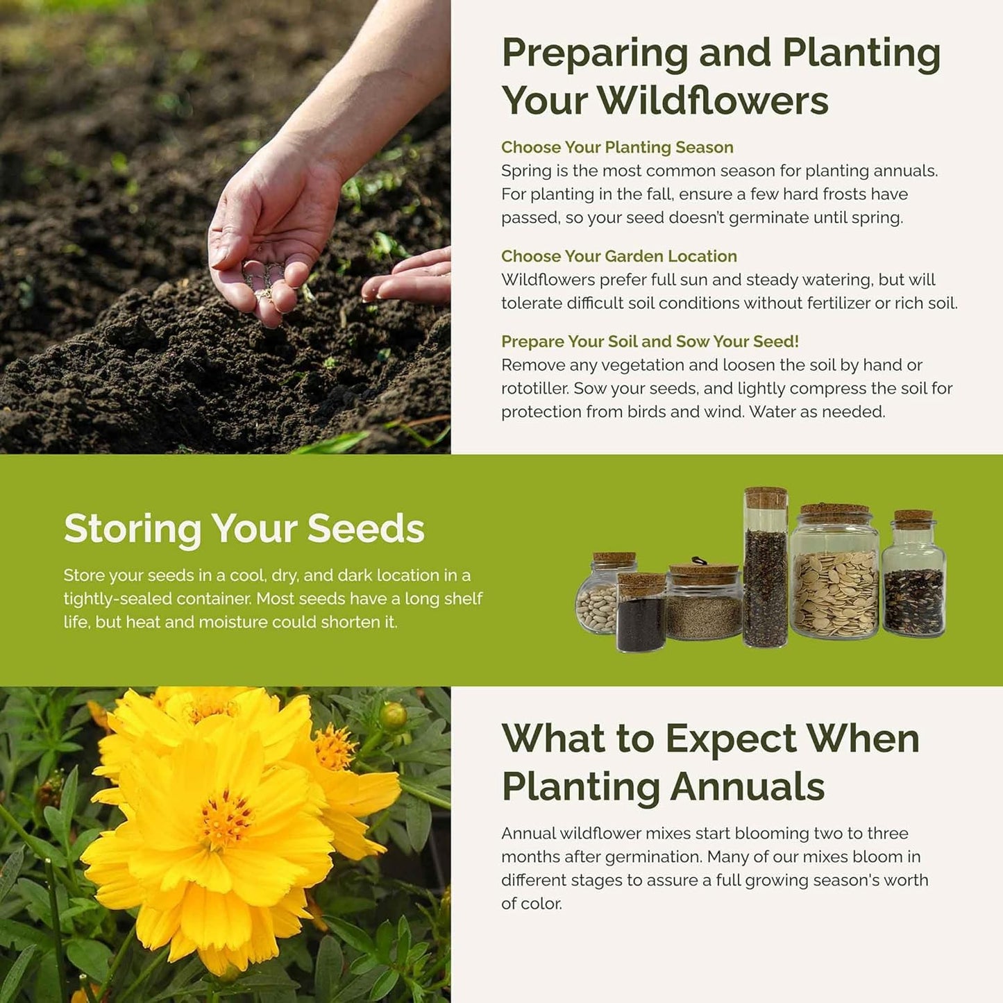 Eden Brothers Jellybean Flower Mixed Seeds for Planting, 1 lb, 480,000+ Seeds with Zinnia, Cornflower, Cosmos, Calendula | Attracts Pollinators, Plant in Spring or Fall, Zones 3, 4, 5, 6, 7, 8, 9, 10