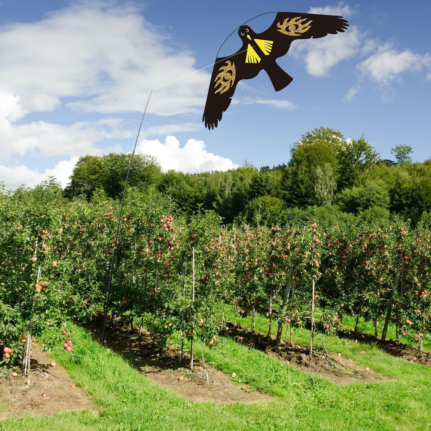 Bird Hawk Flying Kite for Crops Farm Protector Bird Scarer Flying Kites Without Pole - Style E Kite