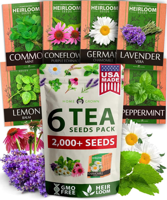 HOME GROWN Medicinal Herb Seeds Vault – 2,000+ Seeds, 6 𝗡𝗢𝗡-𝗚𝗠𝗢 𝗨𝗦𝗔 Heirloom Varieties for Indoor & Outdoor Garden – Lavender, Chamomile,Mint,Lemon Balm,Peppermint,Echinacea +Garden Markers