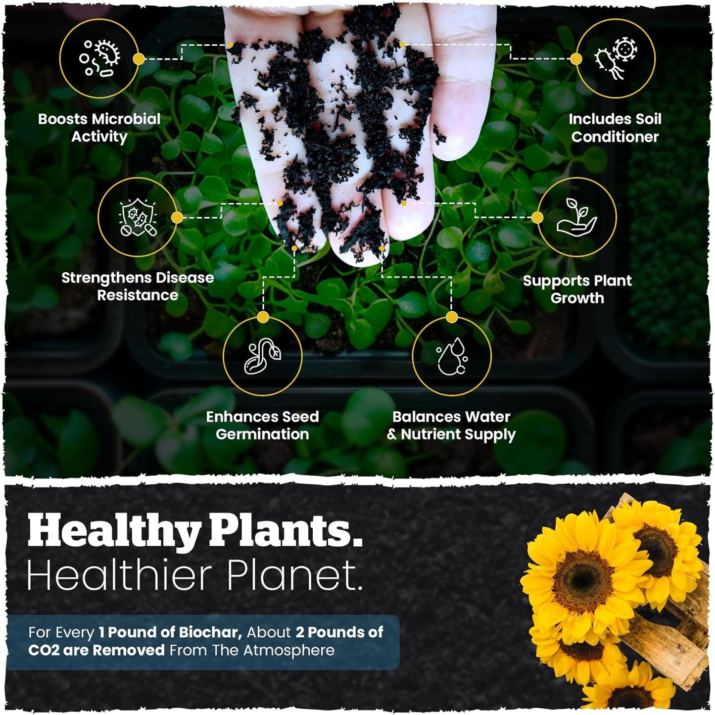 Wakefield Premium Indoor Potting Soil - Professional Biochar & Probiotics with CarbonBoost Technology - Ultimate Organic Potting Mix for Indoor & Outdoor Plants, Succulents & House Plants - 4Quarts