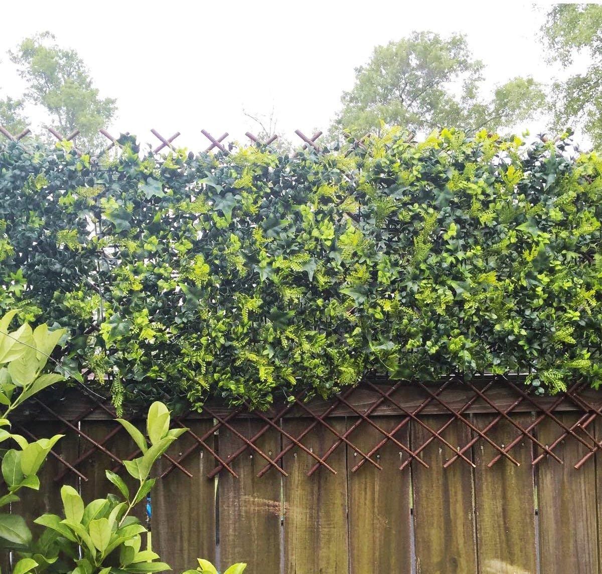 GLANT Lattice Fence Willow Expandable Plant Climbing Lattices Trellis Fence,Open Screen Fencing,Willow (1)