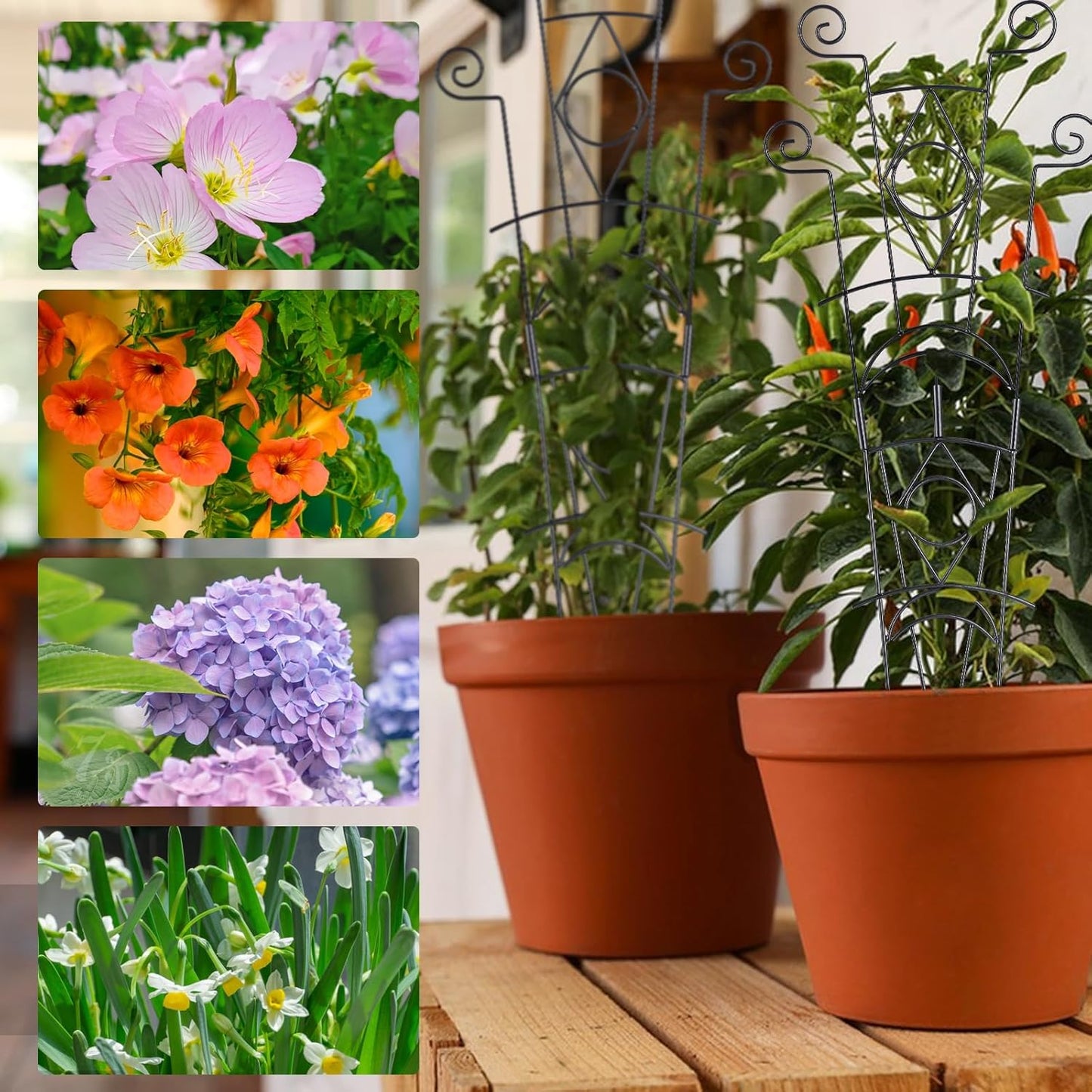 Indoor Plant Trellis for Climbing Plants 2 Pack Small Garden Metal Support for Potted Plants Flowers Houseplants for Outdoor