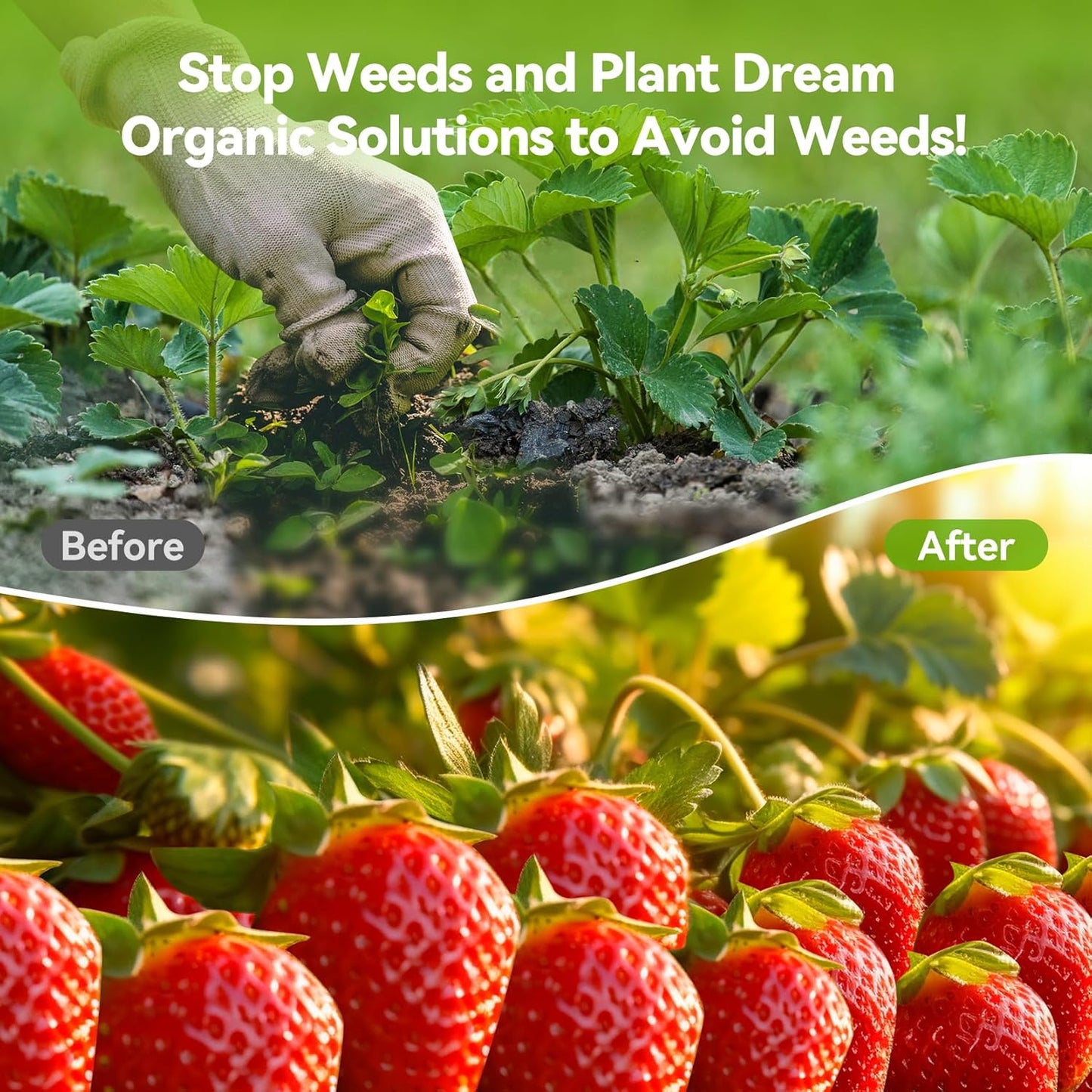 6ftx300ft Weed Barrier Landscape 3.2oz Fabric Heavy Duty, Woven Weed Control Cloth, Woven Geotextile Fabric for Underlayment, Gardening Ground, Commercial Driveway Weed Block Cover Mat