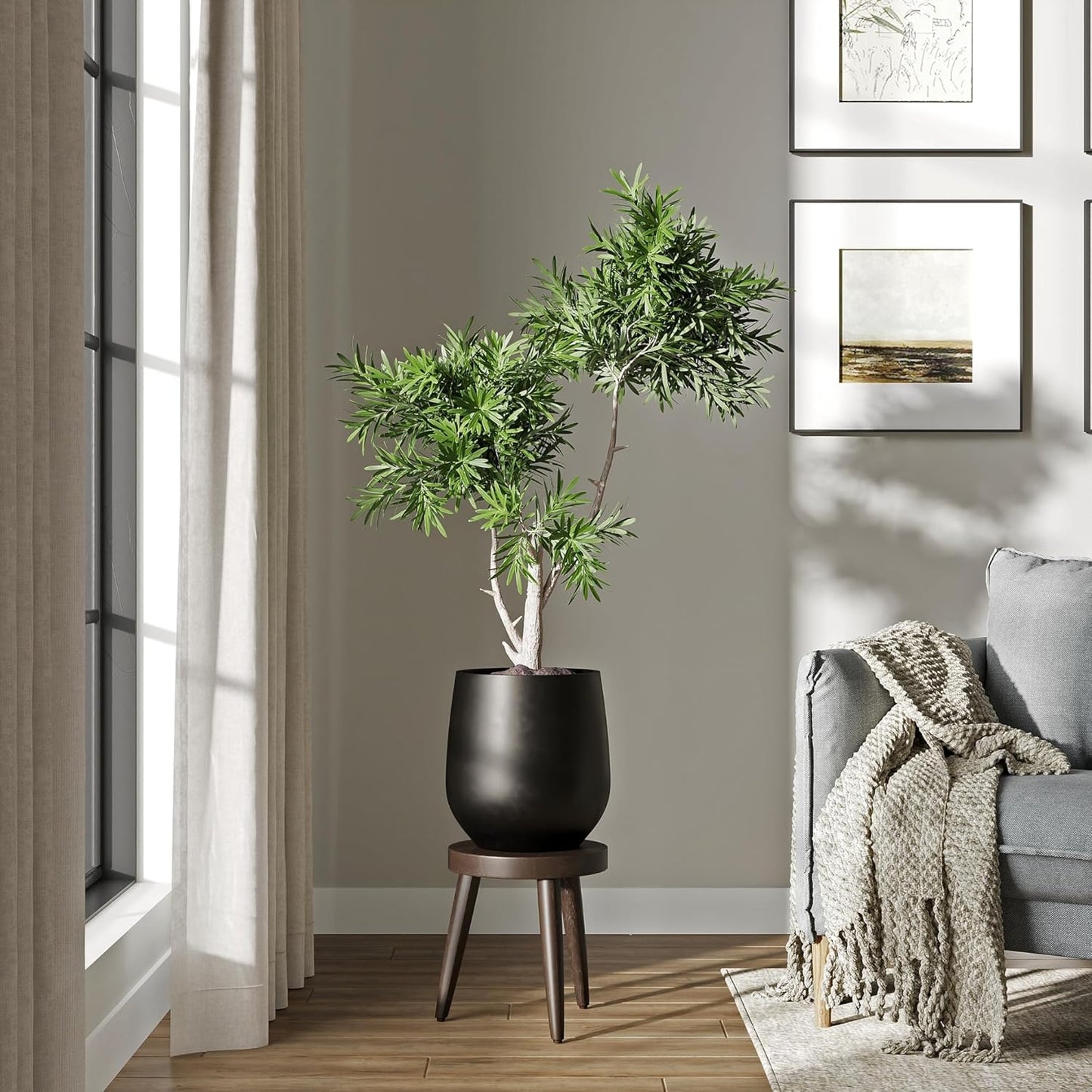 DTY Signature Mount Wilson Lightweight and Durable Modern Fiberstone Tapered Planter for Indoor Outdoor Drainage Hole & Rubber Plug Weather Resistant, 11.8" H x 11" Dia (8" Opening) - Small, Black