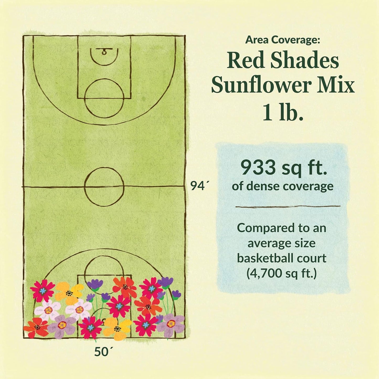 Ferry-Morse Red Shades Mix Bulk Sunflower Seeds, 1lb