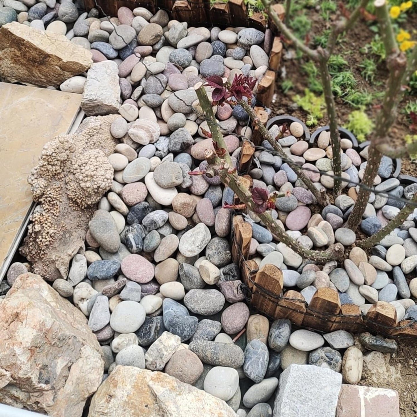 5 lbs Pebbles for Plants, 1-2 Inch Decorative River Rocks for Plants Indoor, Landscape, Garden, Aquarium, Fountain, Walkways and Outdoor Decorative Stones