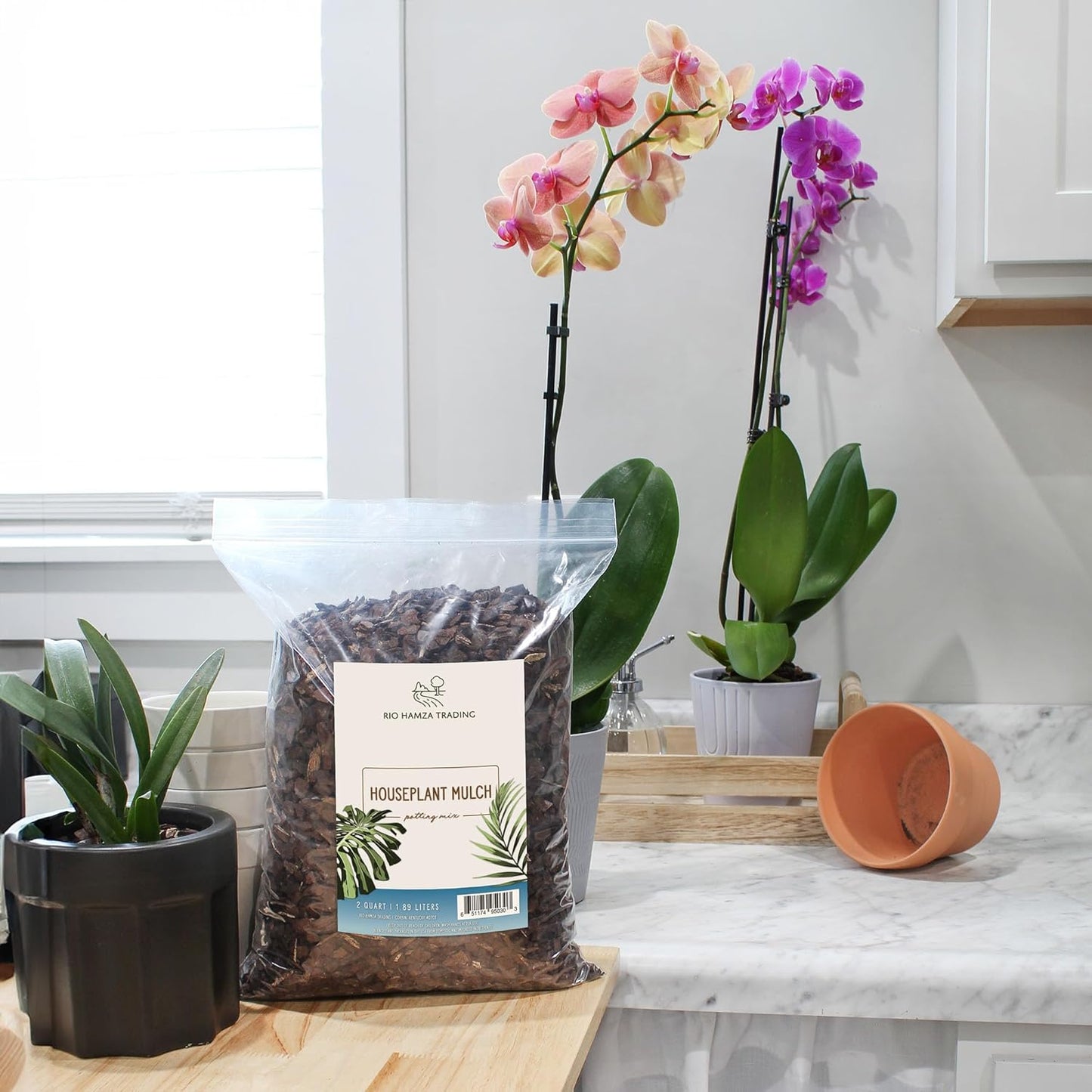 Houseplant Mulch (2 Quarts), Small Bark Wood Chips for Indoor, Patio, Potting Media, and Much More!