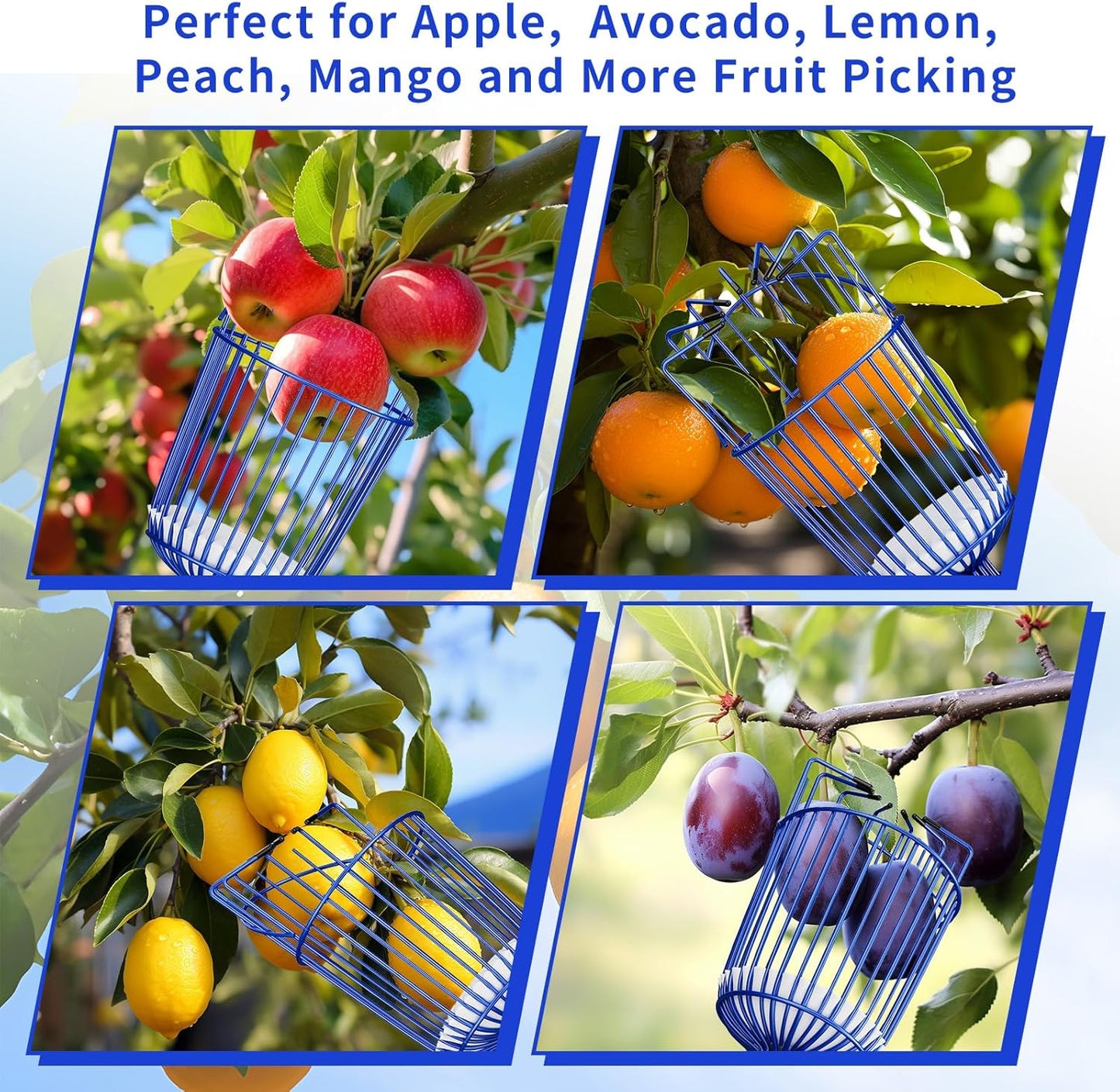 Fruit Picker Pole with Basket Segmented Fruit Picker Pole Tool for Apple Avocado Cherry Lemon Mango Orange Peach Picking(40-160")