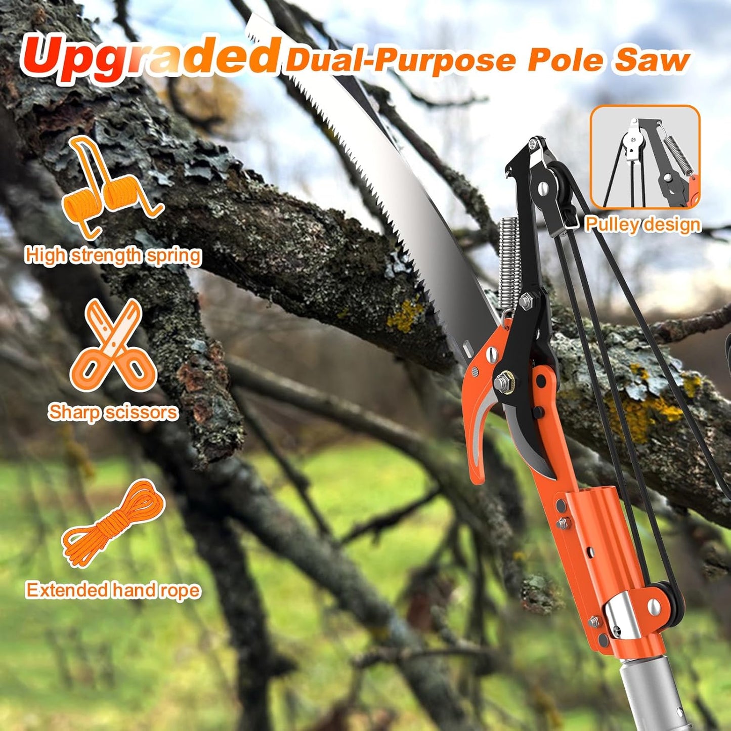 26FT Reach Fruit Picker Pole with Basket Telescoping, Apple Picker with Tree Trimmer and 5-20FT Extension Pole for Orange Lemon Mango Avocado Guava Fruit Picking