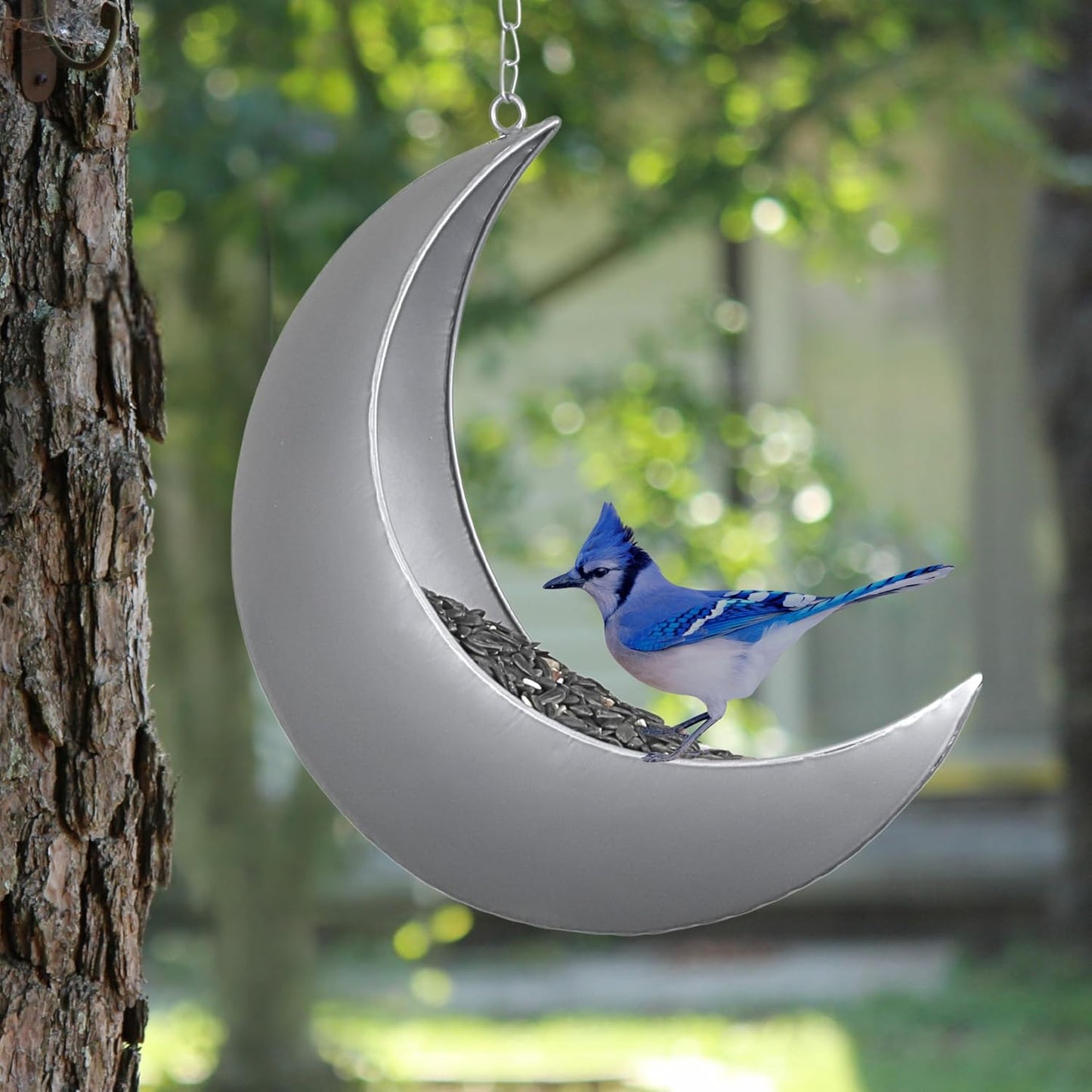Hanging Moon Bird Feeder – Unique Metal Bird Feeders for Outdoors, Silver Rust-Resistant, Drain Holes – Wild Bird Feeder for Bluebirds, Cardinals, Finches, and Backyard Birdwatching