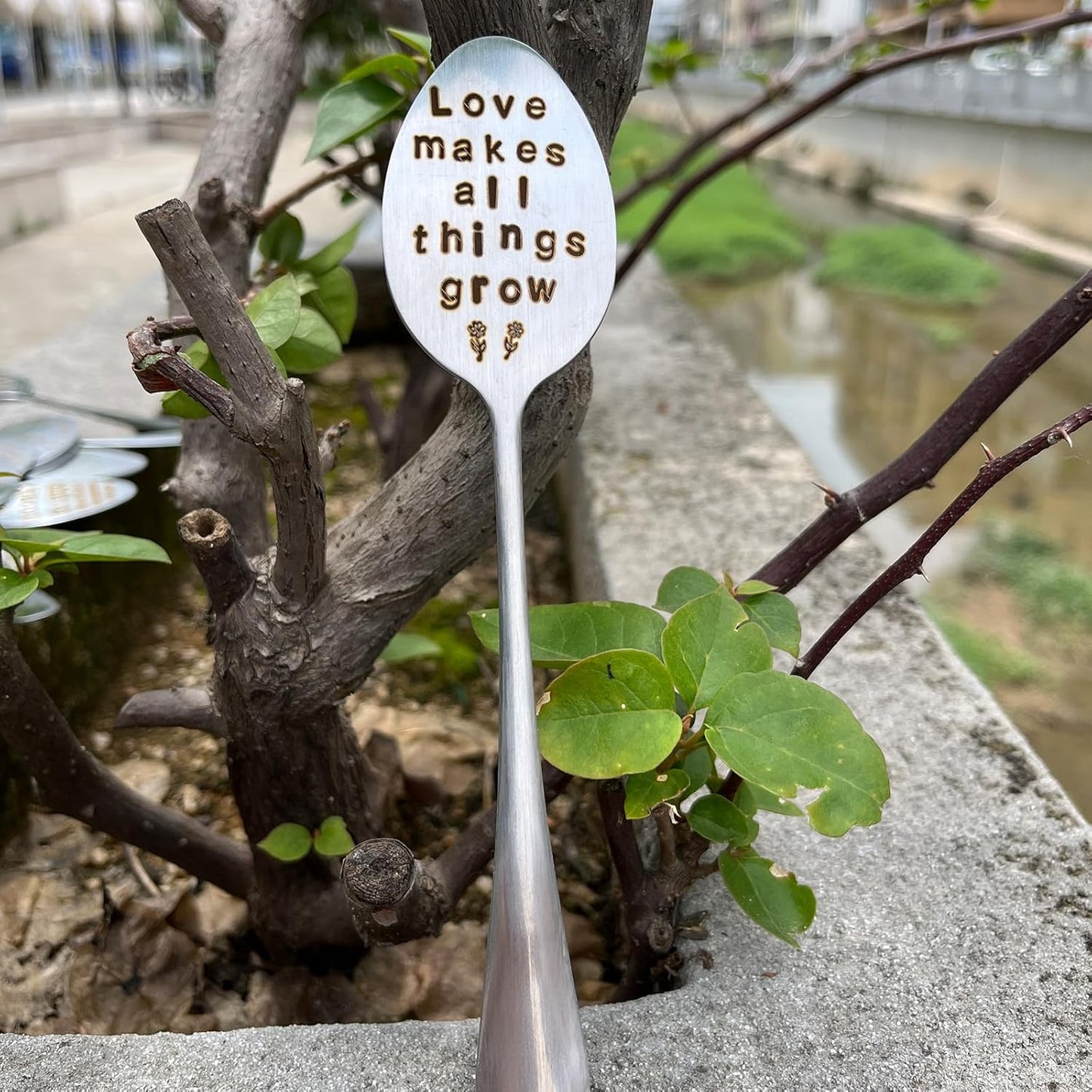 Garden Plant Marker Friendship Gift for Women Gardeners, Plant Stake Label Sign Tag Gardening Gifts for Woman Plant Lovers, Metal Garden Decoration (All Things Grow), Silver