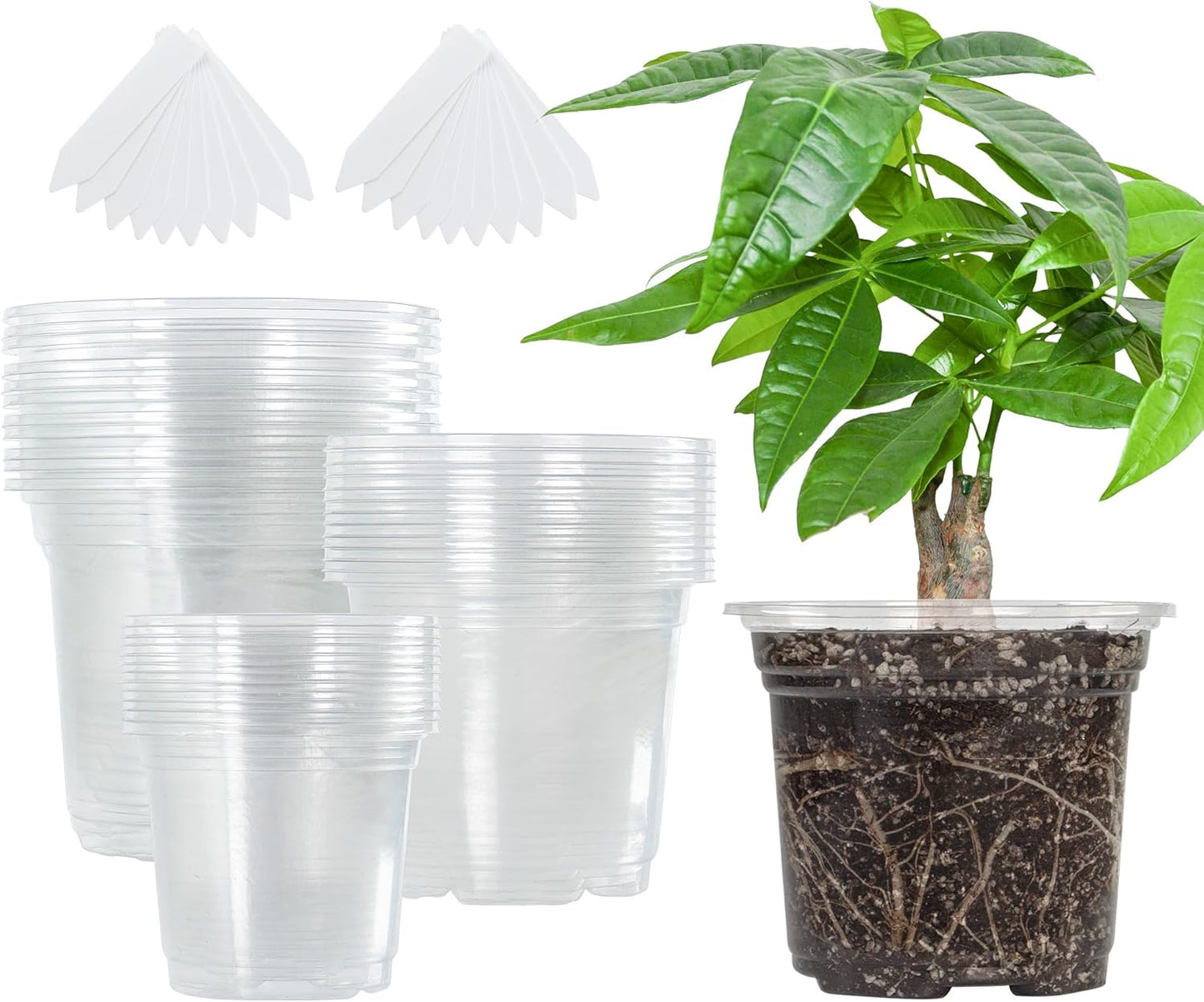 Bonviee 36 Packs 3.5/4/5 Inch Clear Nursery Pots, Transparent Plastic Planter with Drainage Holes, Seed Starting Pot Flower Plant Container -Clear