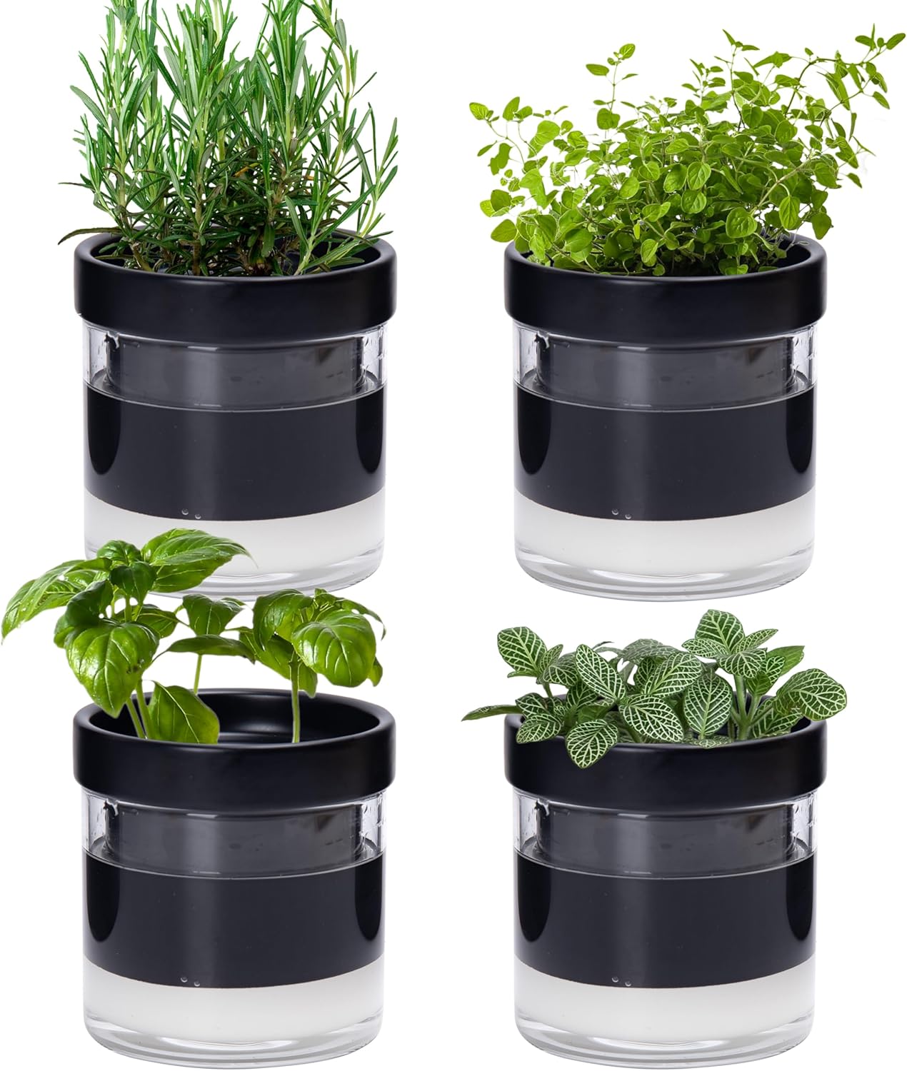 Phoenix Vine 4 Inch Self Watering Planter Pot, Black Terracotta Clay Pot with Glass Reservoir for Indoor Plants, Herbs, Flowers, Set of 4, 52-C-E-4