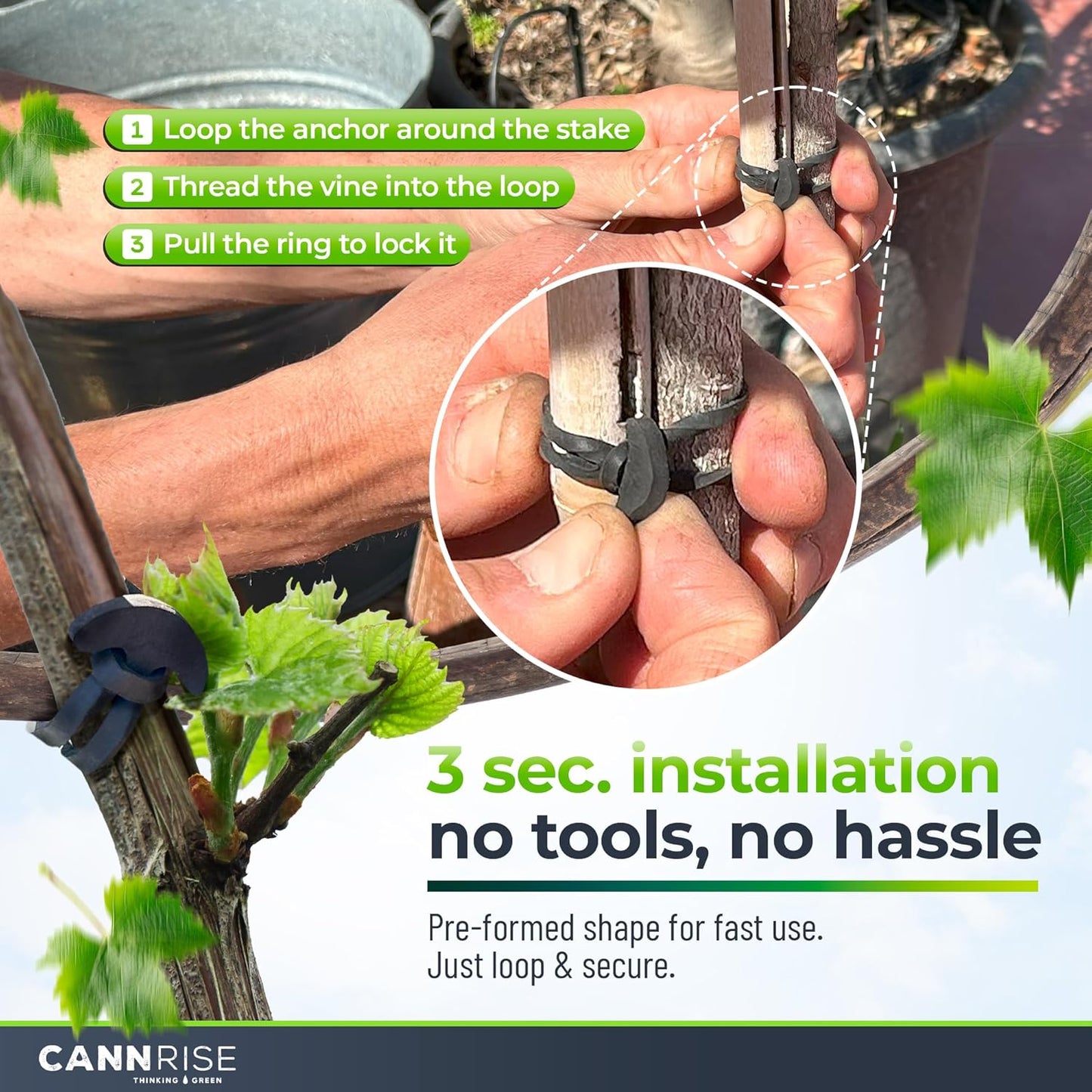 Anchor Rubber Bands for Trellising – 70 Pack of 8 cm/3.14 inches Rubber Bands for Outdoor Plant Support, Climbing Plants, Grape Vines, Trees – UV-Protected, Elastic, Multi-Purpose Use