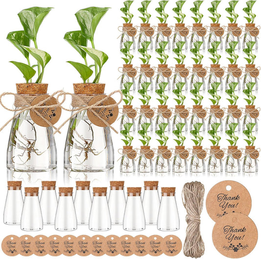 Baderke 3.35'' Plastic Plant Propagation Stations with Hole Lid Planter Vase Clear Propagation Jars with Thank You Tags for Plant Lover Gifts for Women Office Home Garden (48 Pack,Cute)