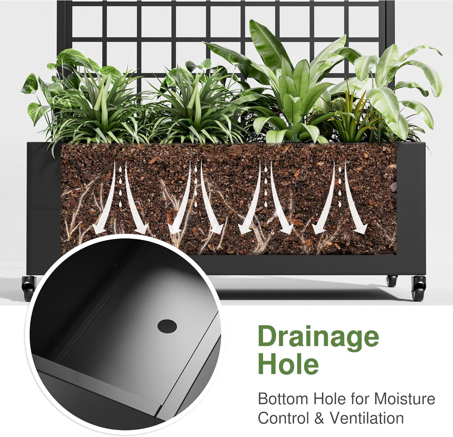 Casaphoria Metal Raised Garden Bed with Trellis and Wheels, 72"x35"x16" Planter Box for Climbing Plants, Vegetables & Vines, Features Drainage Holes and Privacy Screen (Black-Grid)