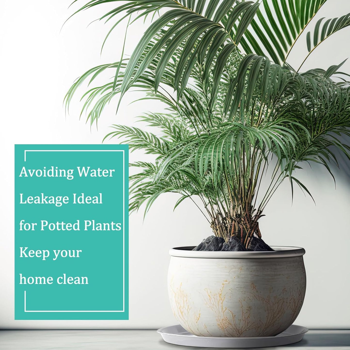 Eccliy 6 Pack Plastic Plant Saucer Heavy Duty Planter Saucers Large Plant Pot Saucers Plastic Water Trays for Indoors and Outdoors Flower Plant Plant Drip (White,23 Inch)