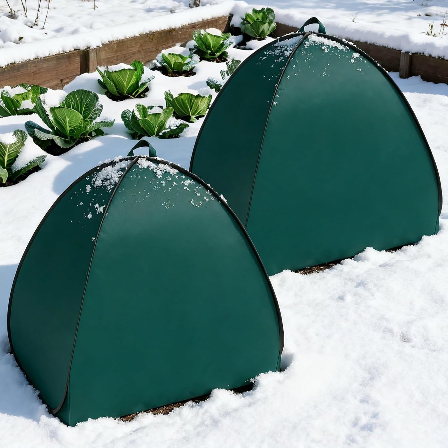 2 Pcs Pop Up Shrub Covers Frost Protection Tent, 22" x 22" x 22" Winter Plant Cover Freeze Protection, Warm Garden Plant Protector Tent for Protecting Outdoor Shrub Fruit Potted Plants from Snow & Ice