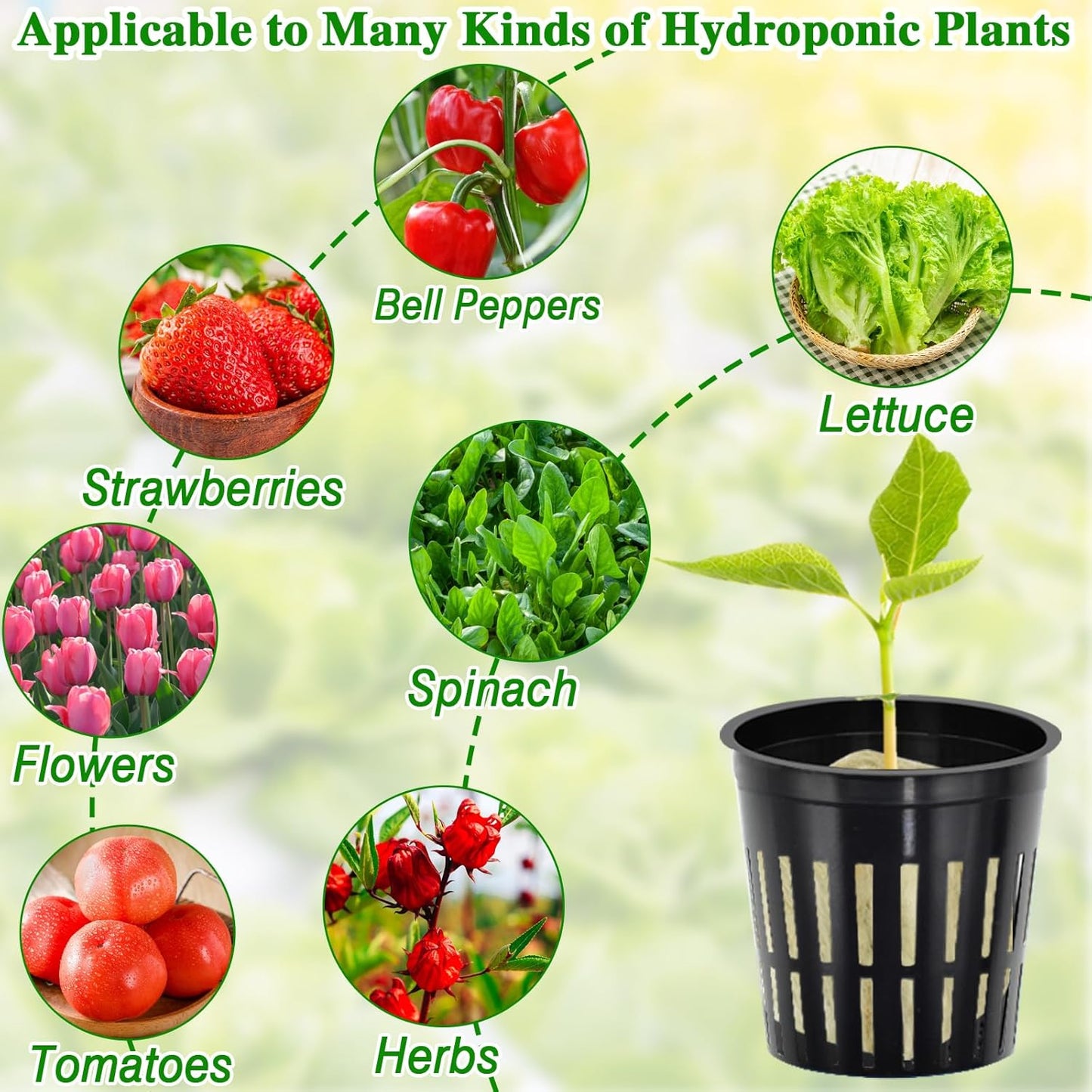 Halatool 48 x 2-Inch Rockwool Cubes & 48 x 3-Inch Net Cups - Hydroponics Starter Kit for Plants Cloning, Seed Starting, and Patio Gardening - Durable, Effective, Great Gift Option