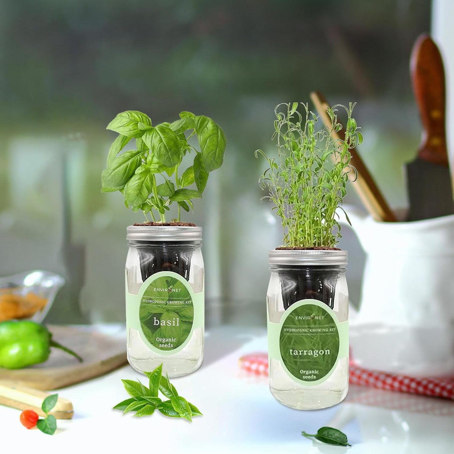 2-Pack Hydroponic Mason Jar Herb Garden Kit, Indoor Herb Garden Self-Watering Starter Kit (Basil,Tarragon)