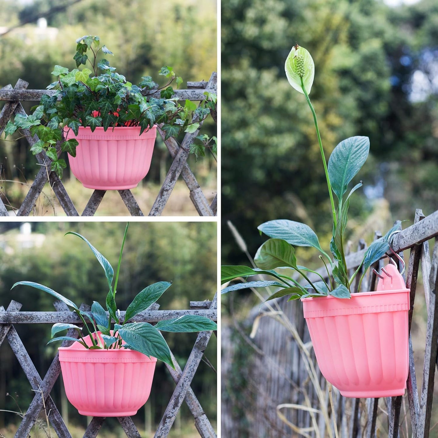 ORIMERC 6 Pack Colorful Wall Hanging Planters for Indoor Outdoor Plants, Hanging Plant Holder with Drainage Hole, Fence Balcony Planters Railing Hanging Pot, Plant Wall Mount Decor with Hooks/Screws