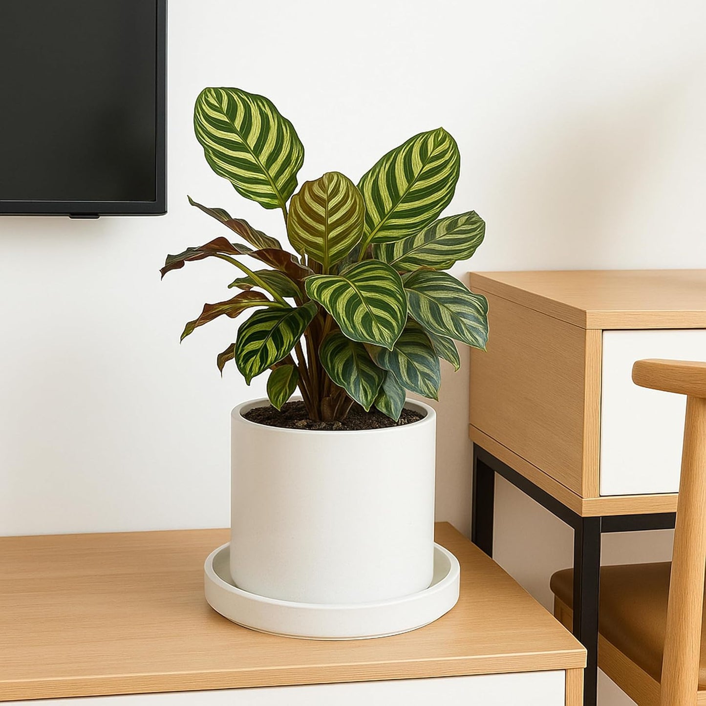 D'vine Dev Modern Round 8.7 Inch Ceramic Plant Pot Saucer, Planter Pot Drainage Tray for Indoor Plants, Matte White, 97-T-A-4