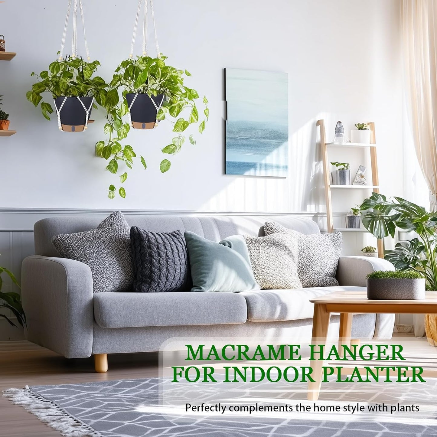 Hanging Planter Self Watering 8 Inch, 2 Pack Hanging Baskets for Plants, Hanging Flower Pots with Drainage Hole & 2 Kinds of Plant Hangers for Garden Home Decor (Black, 8 inch)