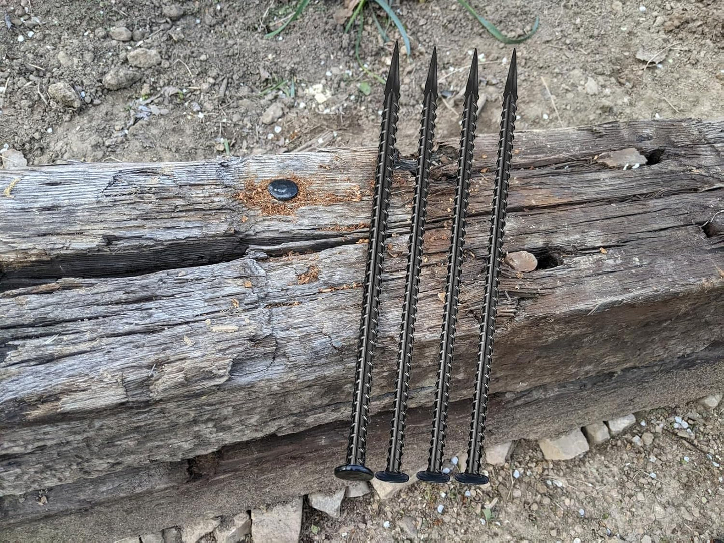 16 Inc Rebar Stakes, Ground Stake，1/2 Inch Diameter, Galvanized Steel Ground Anchors,Speed Bump, Tent Stakes, Heavy Duty Metal Stakes, Used for Road Construction Outdoor Camping,30 Pack（Black）