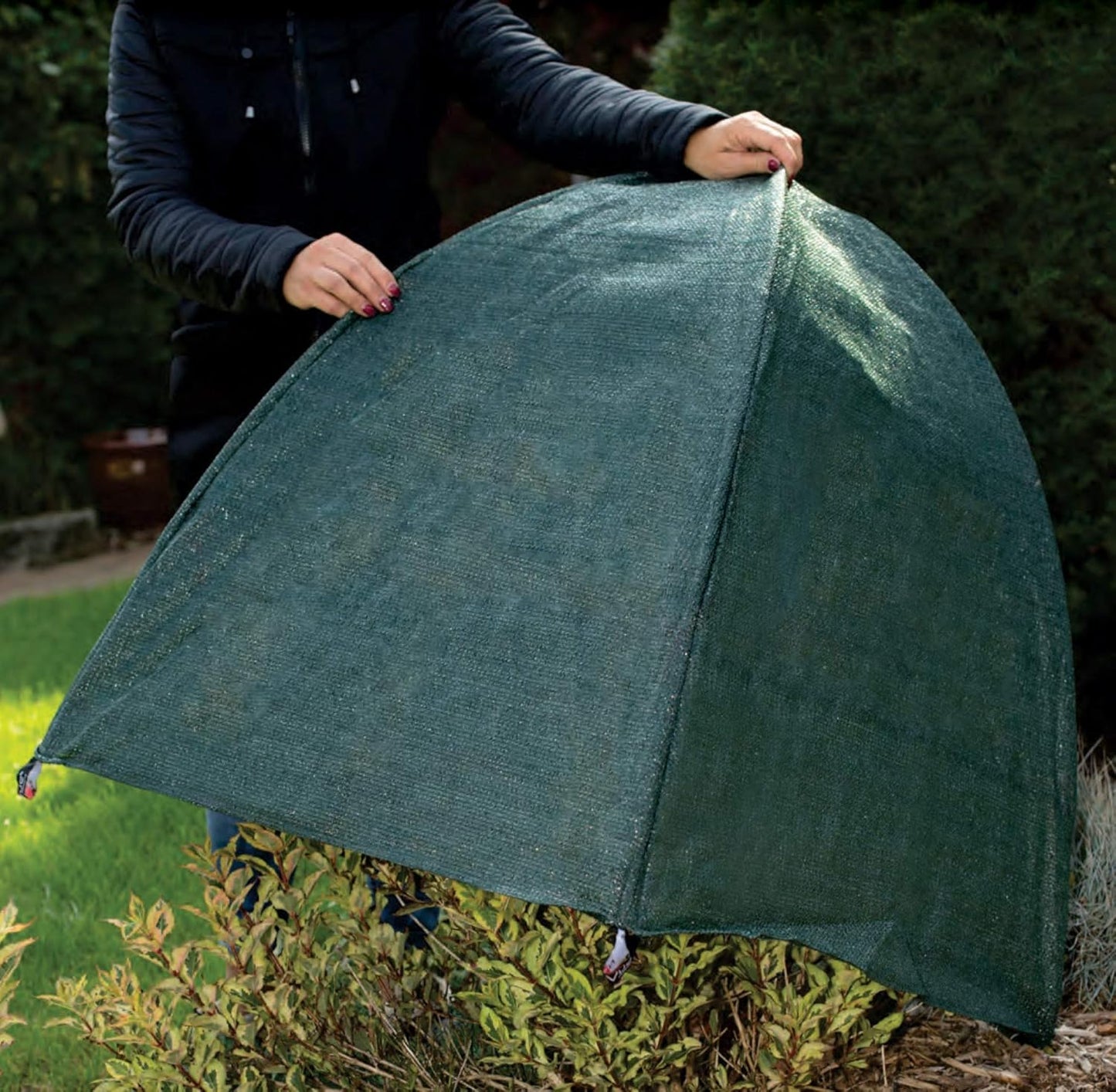 NuVue Products 22253 Winter Snow and Ice Covers for Plants, Shrubs, and Small Trees, Winter Shrub Covers for Snow and Freeze Protection, Pack of 2, Green, 36" x 36" x 38"