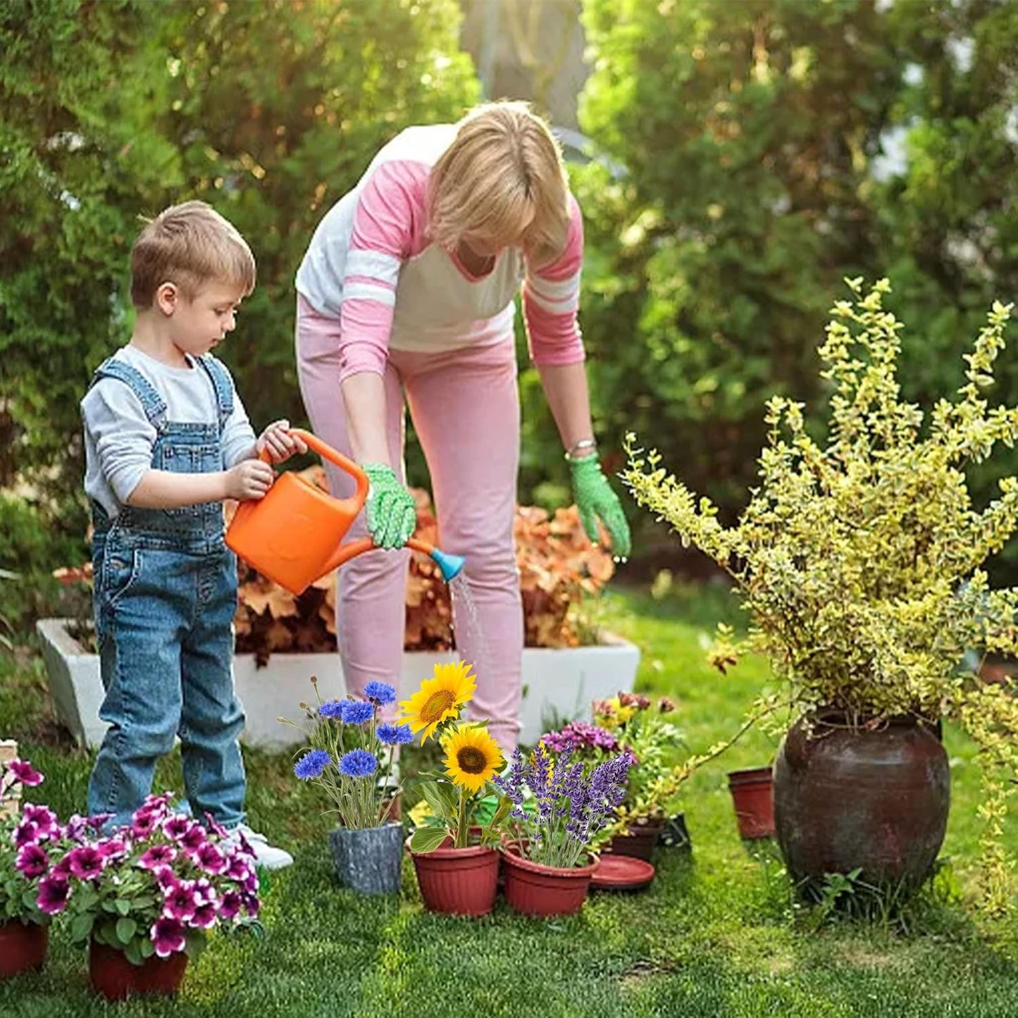 5 Kit - Growing into Shasta Daisy, Cornflower, Sunflower, Zinnia, Lavender for Indoor Outdoor Garden DIY Gifts